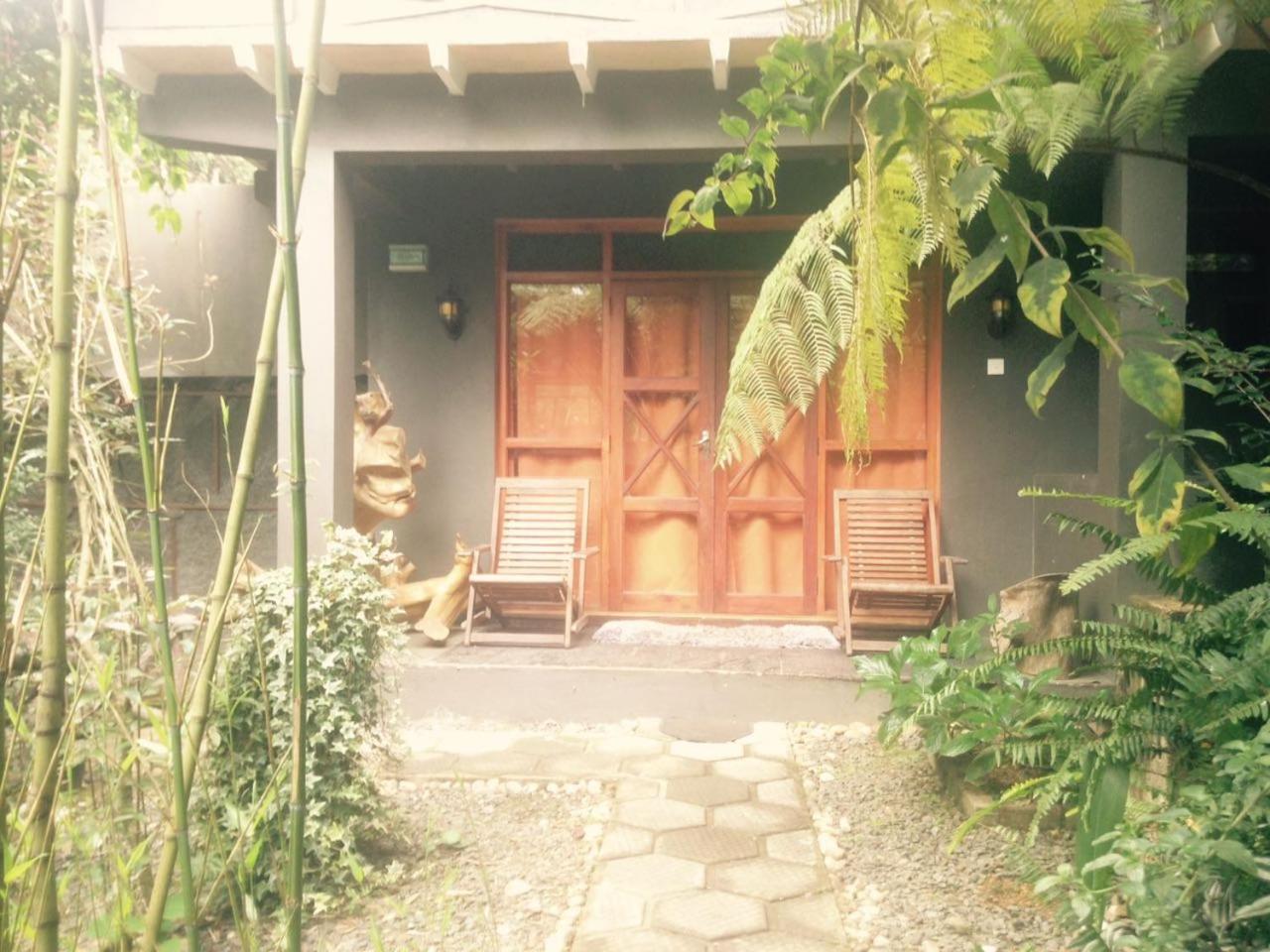 King Fern Cottage 누와라 엘리야 외부 사진