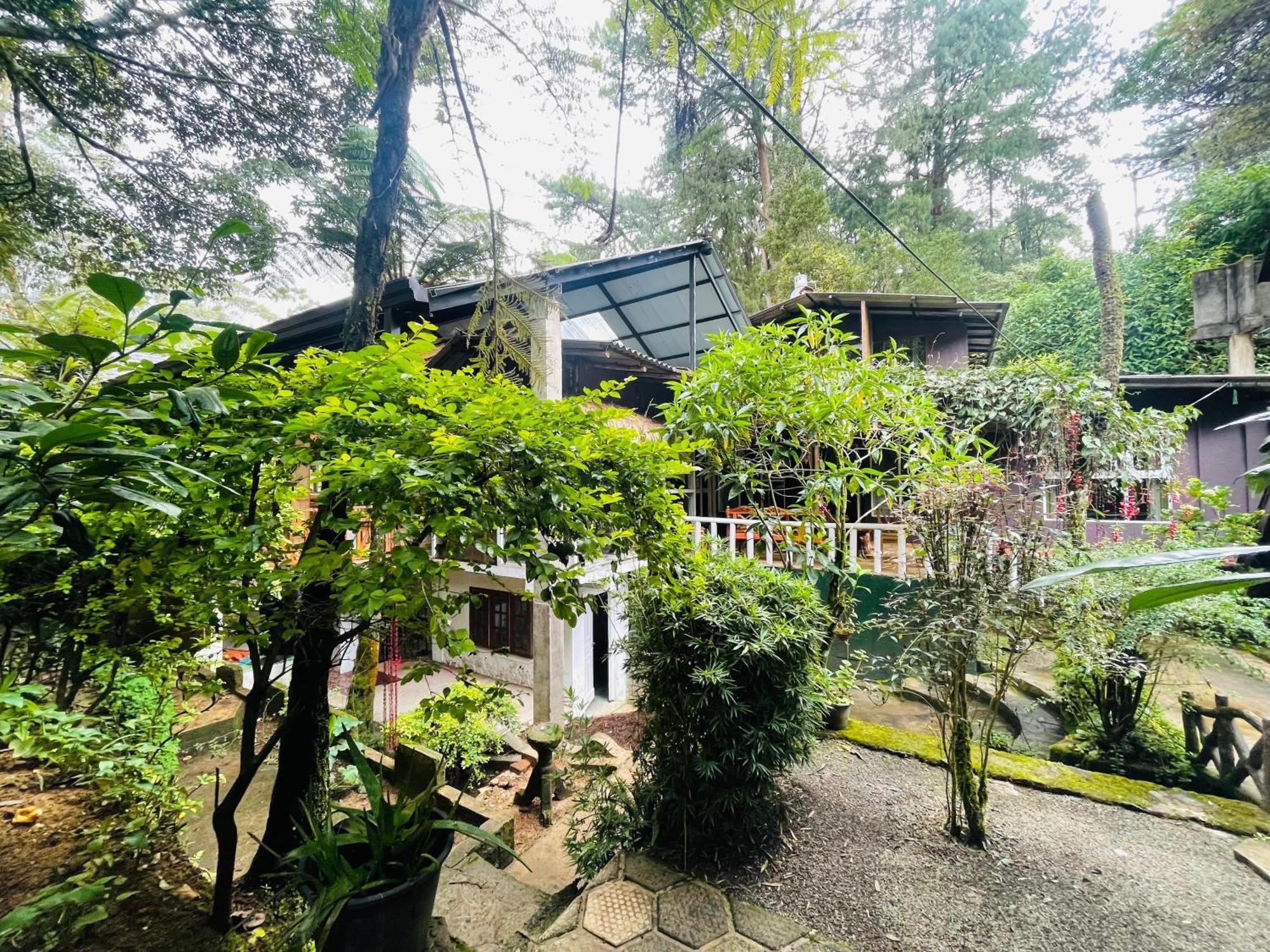 King Fern Cottage 누와라 엘리야 외부 사진