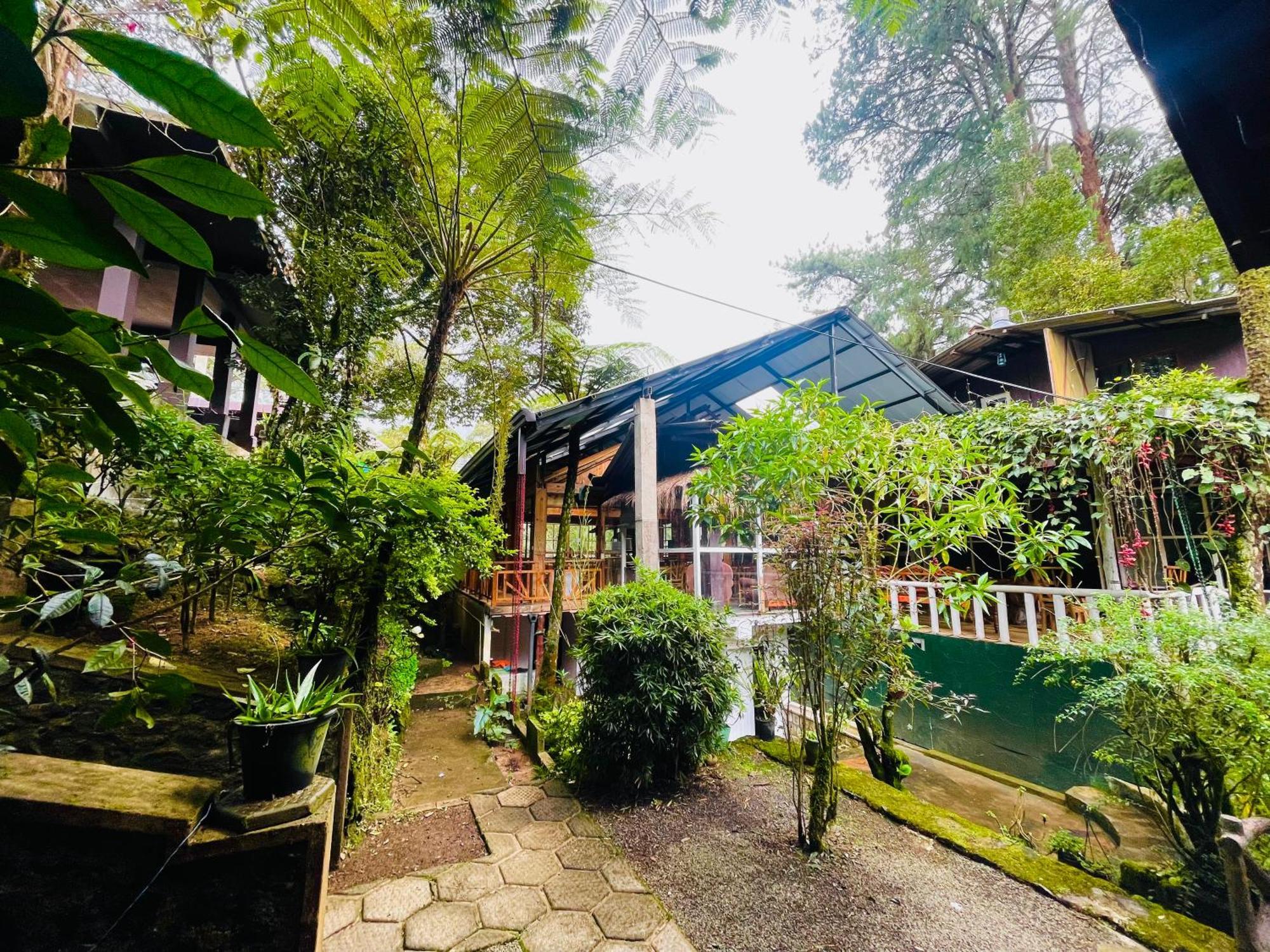 King Fern Cottage 누와라 엘리야 외부 사진