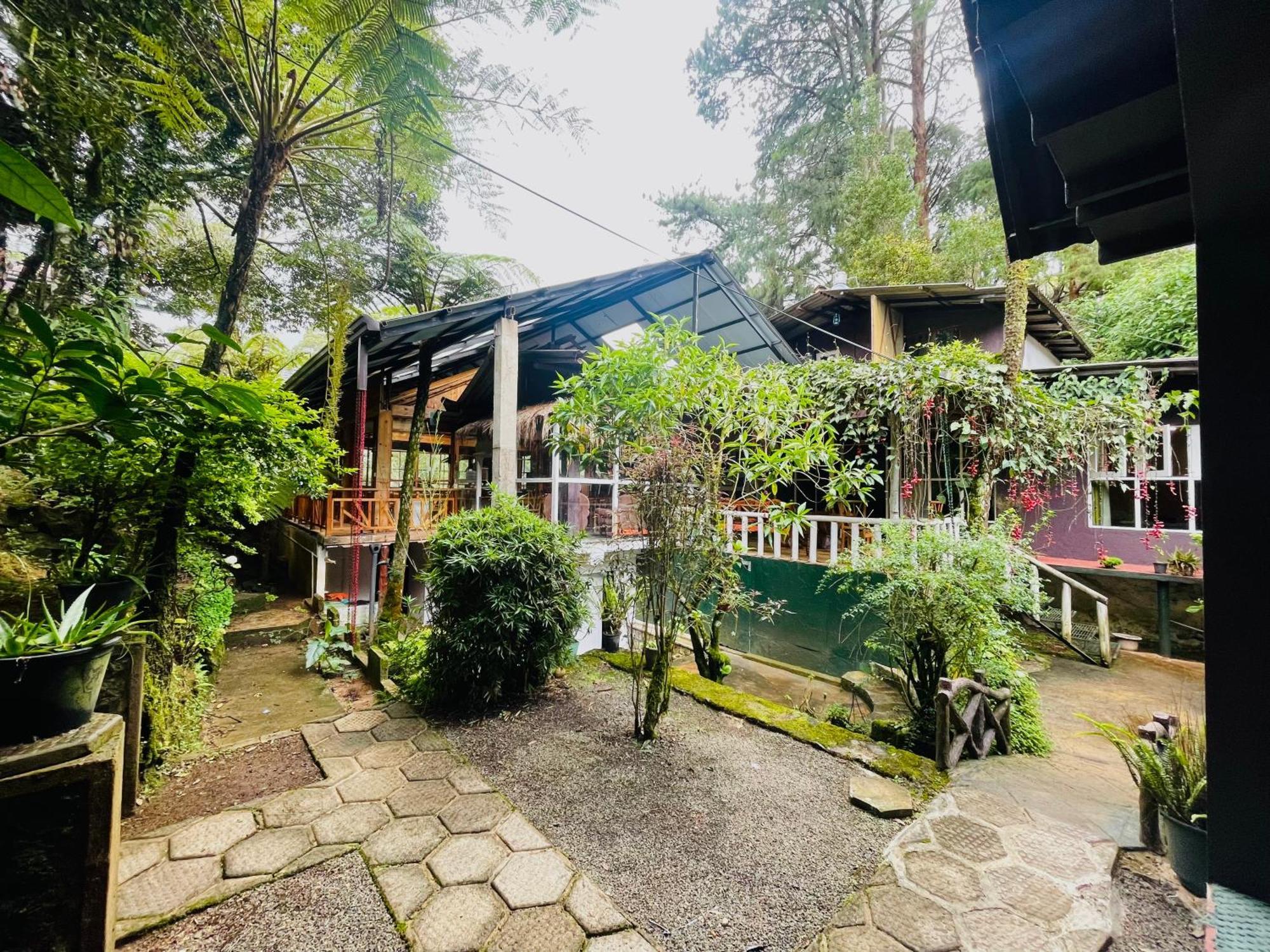 King Fern Cottage 누와라 엘리야 외부 사진