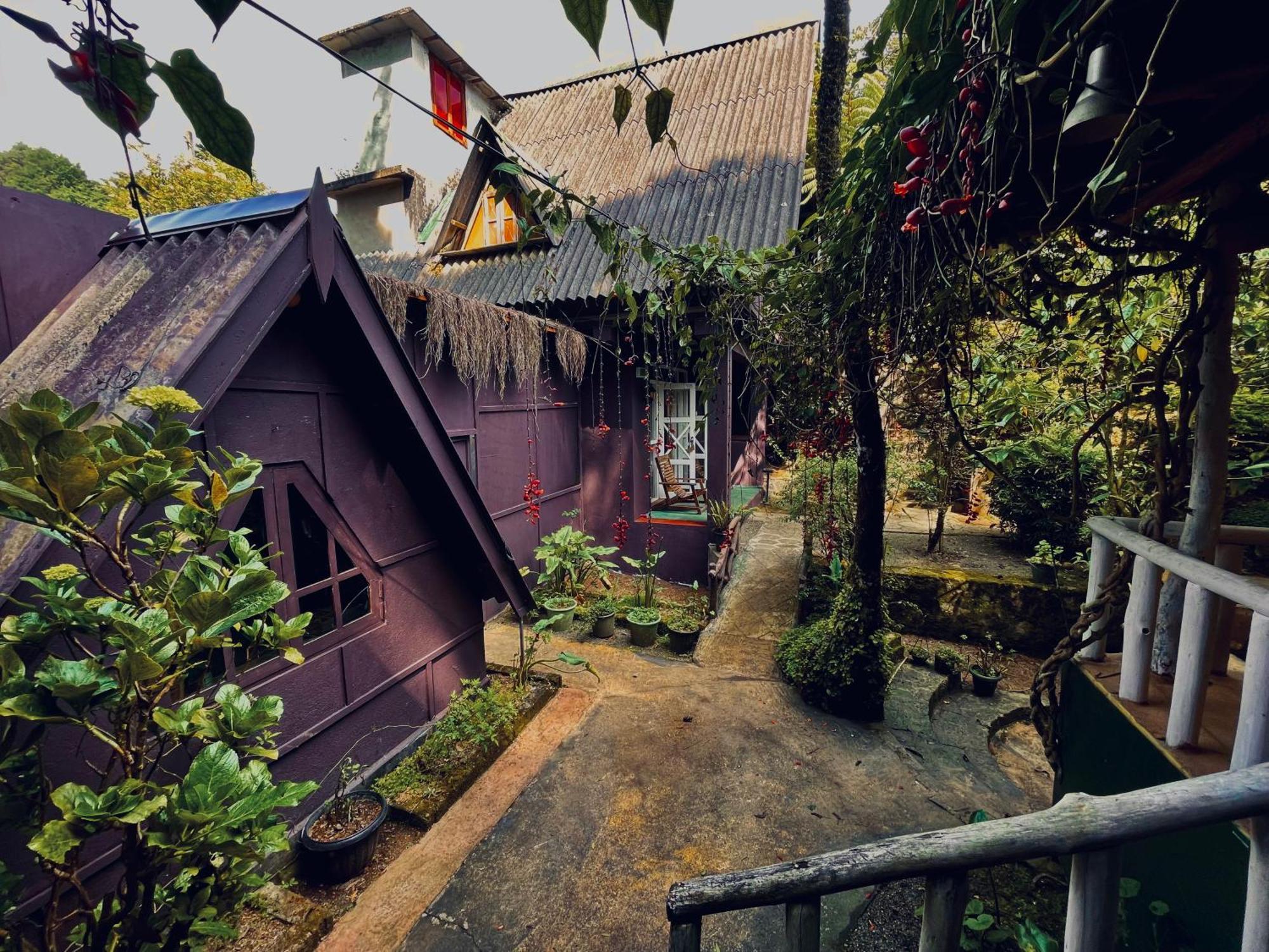 King Fern Cottage 누와라 엘리야 외부 사진