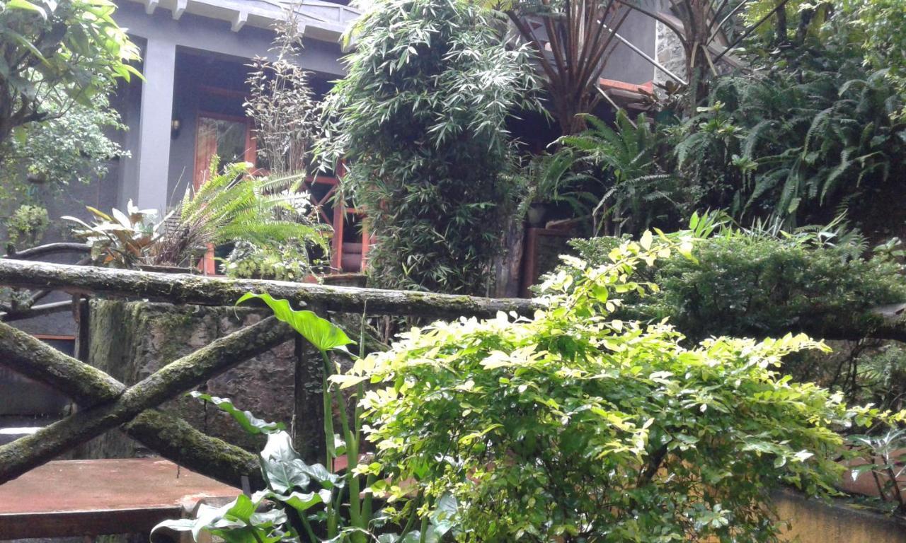King Fern Cottage 누와라 엘리야 외부 사진