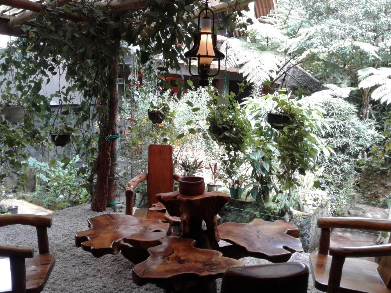 King Fern Cottage 누와라 엘리야 외부 사진