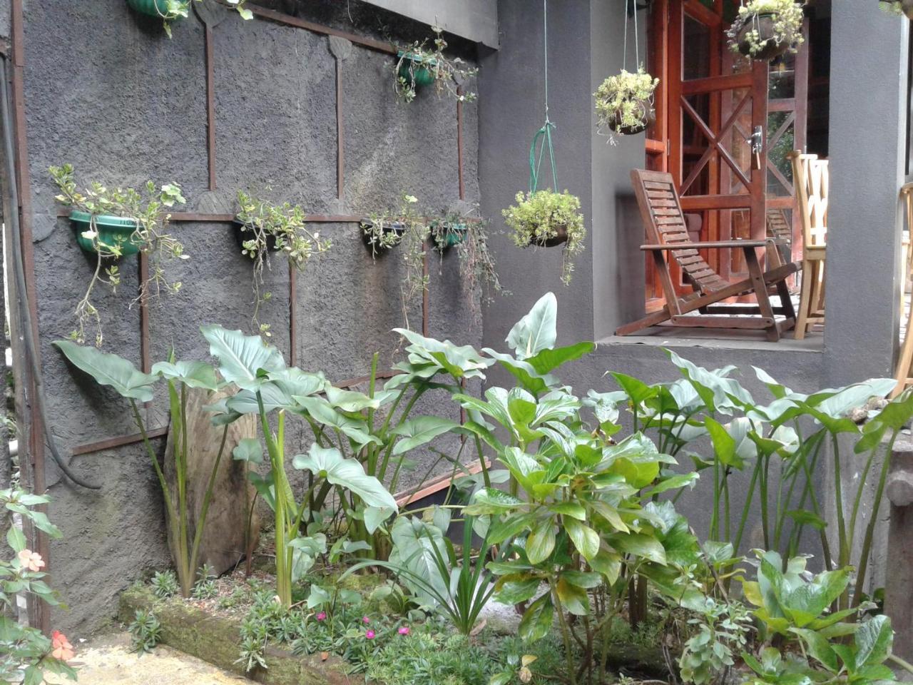King Fern Cottage 누와라 엘리야 외부 사진
