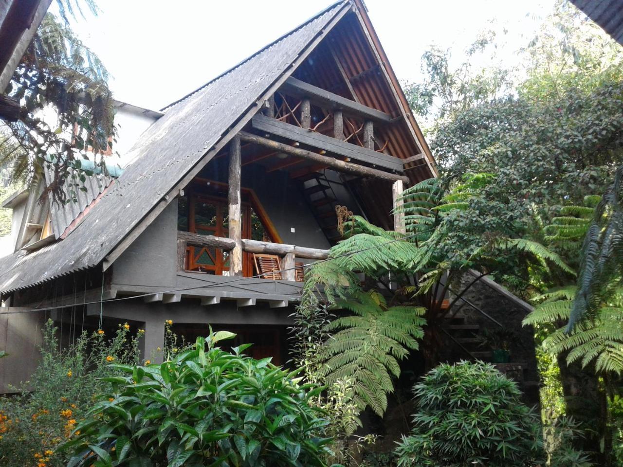 King Fern Cottage 누와라 엘리야 외부 사진